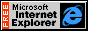 Internet Explorer Browser Logo