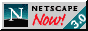 Netscape Navigator Browser Logo